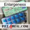 Enlargenexx new02